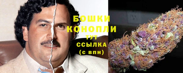 стафф Богданович