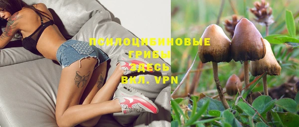 Альфа ПВП Вязьма
