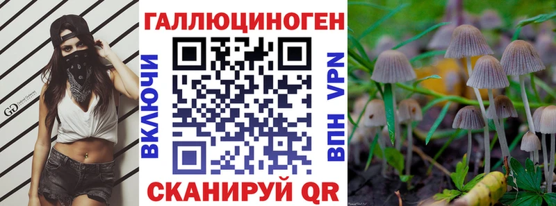 купить закладку  Ельня  Псилоцибиновые грибы мицелий 
